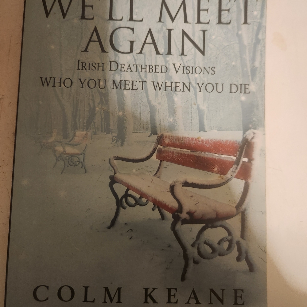 4/$20 Who you Meet When You Die we'll meet again by Colm Keane